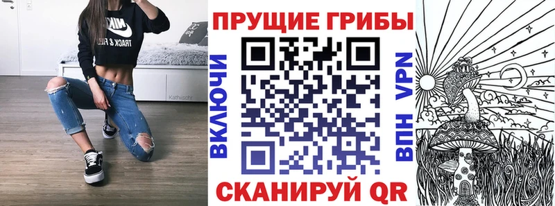 Галлюциногенные грибы Cubensis  закладка  Куса 