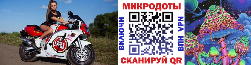 Галлюциногенные грибы мицелий Куса